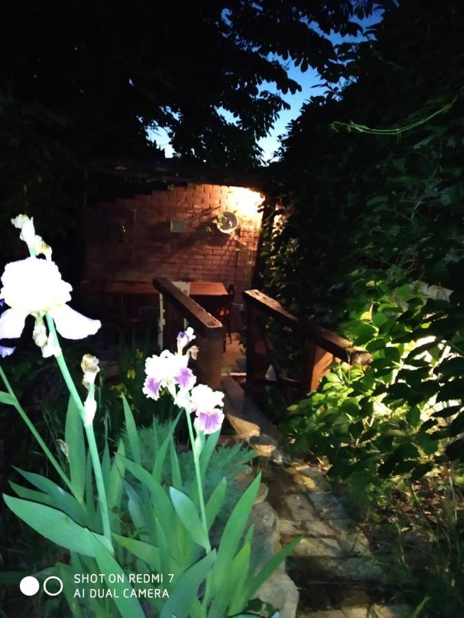 Mangal And Terrace In Center Apartment ลวีฟ ภายนอก รูปภาพ