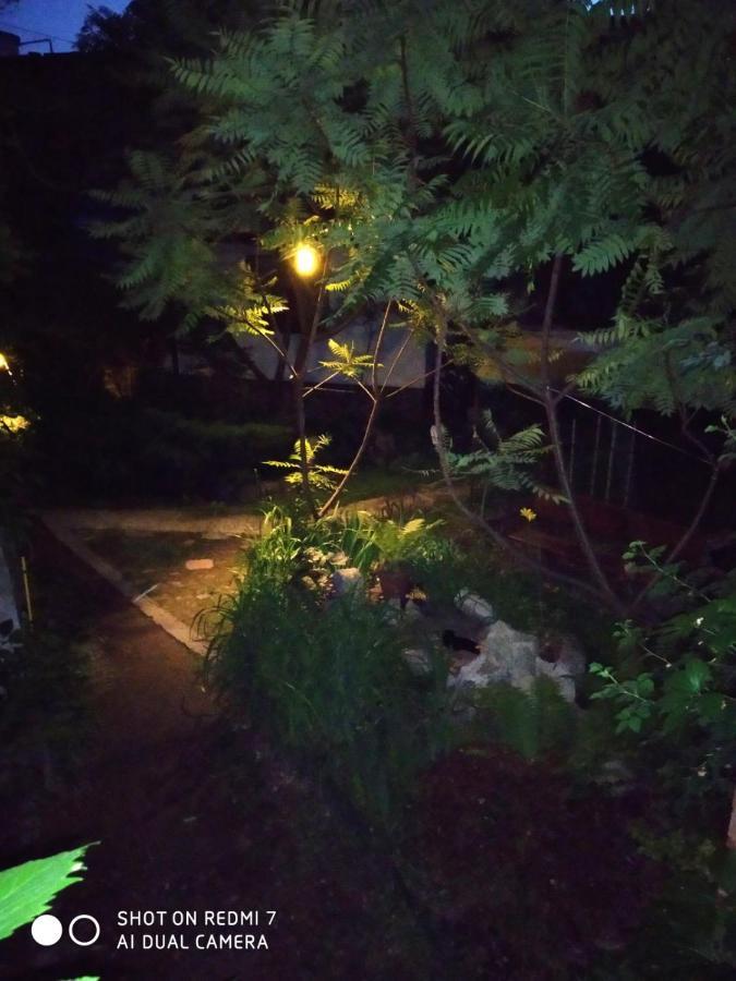 Mangal And Terrace In Center Apartment ลวีฟ ภายนอก รูปภาพ